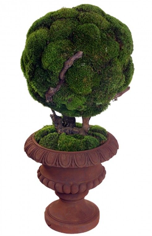 Bonsai Ball