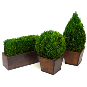 Tabletop Topiary Set - Click Image to Close