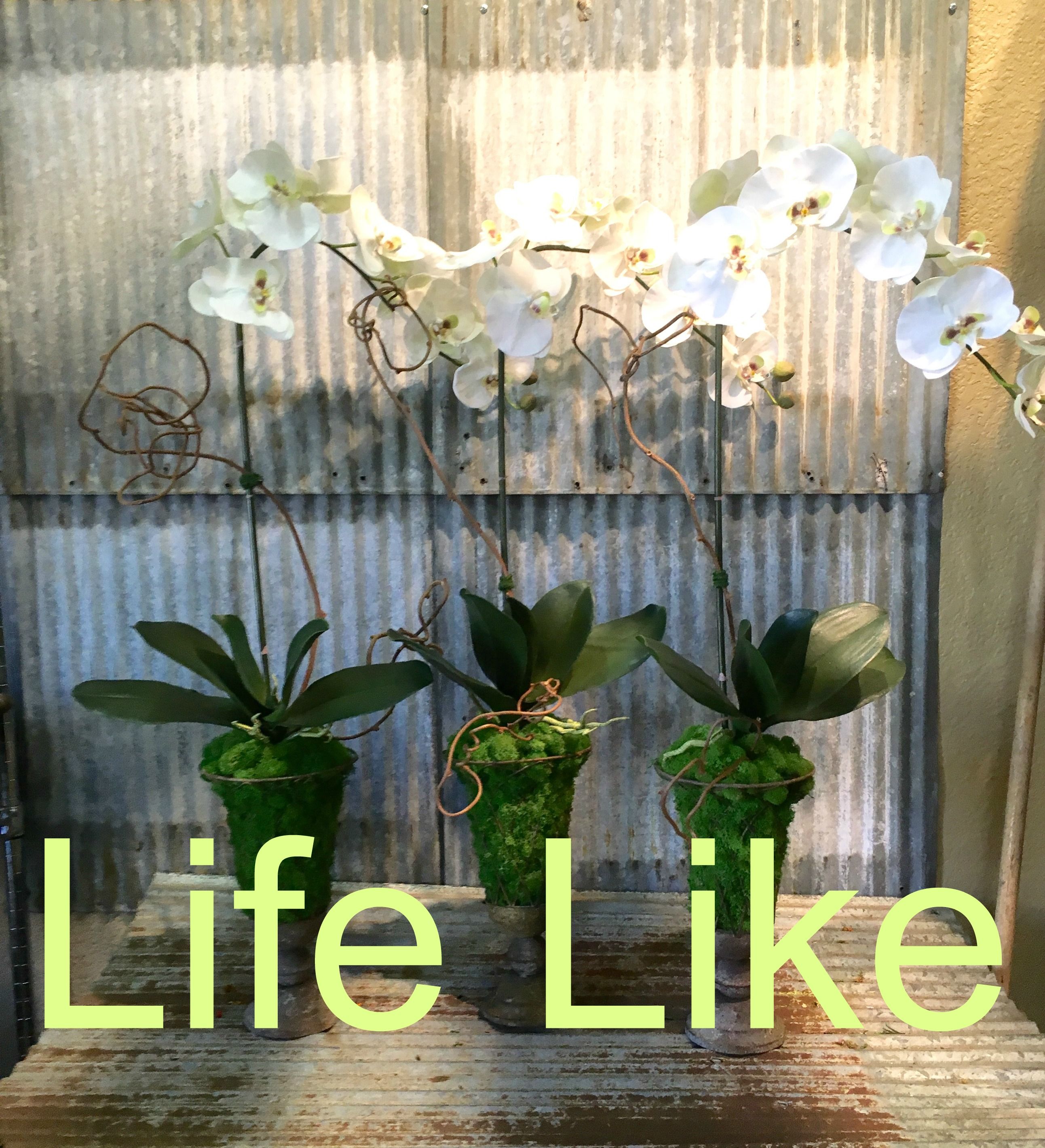 Life-Like