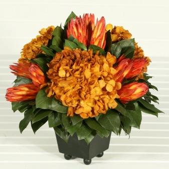 Protea Arrangement