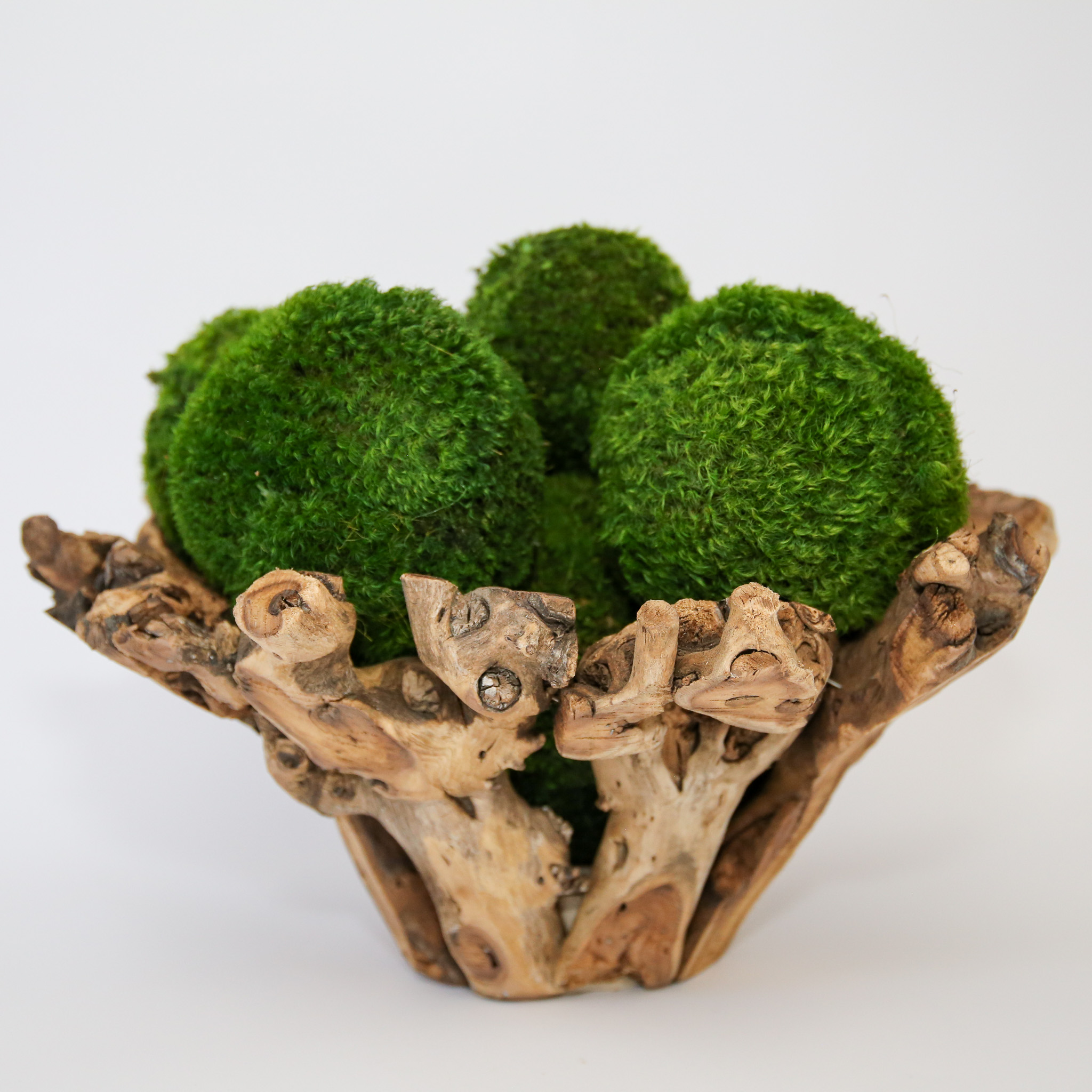 Branchy Bowl with Moss Balls