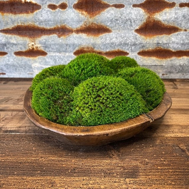 Every Piece Moss is More Round and Chunky,soft and Fluffy,stabilized  Boutique Moss,premium Pole Moss ,modern Home Decor Moss,moss for Crafts 